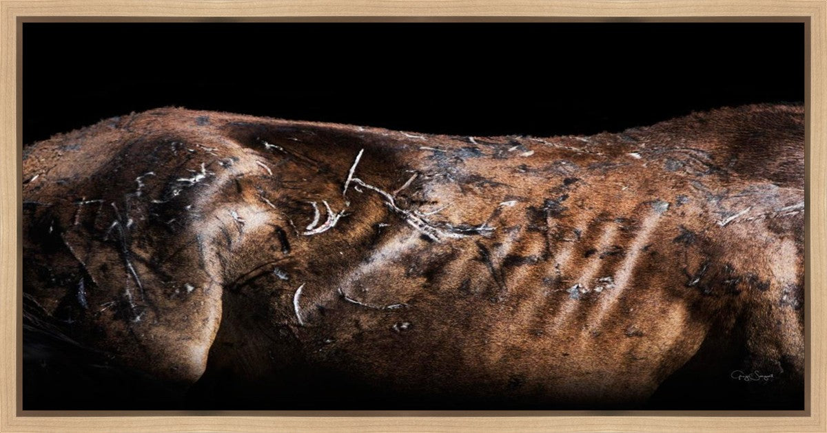 Battle Wounds Gallery Wrap
