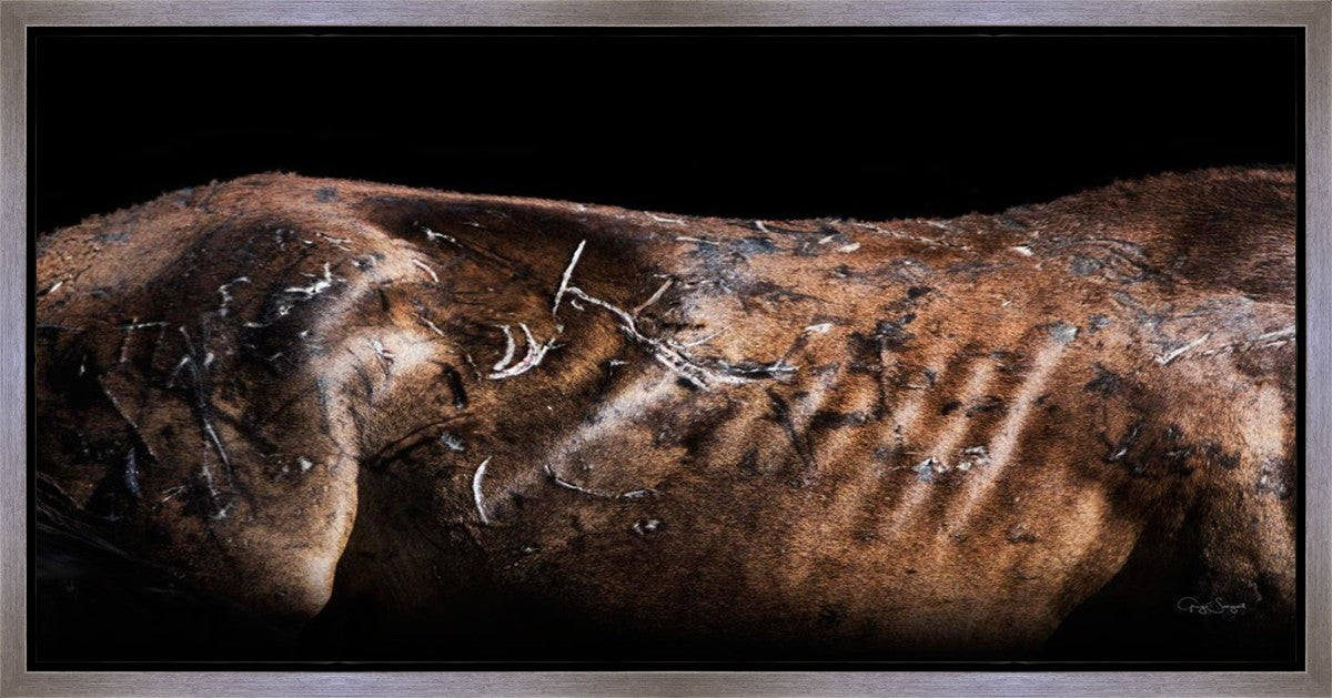 Battle Wounds Gallery Wrap