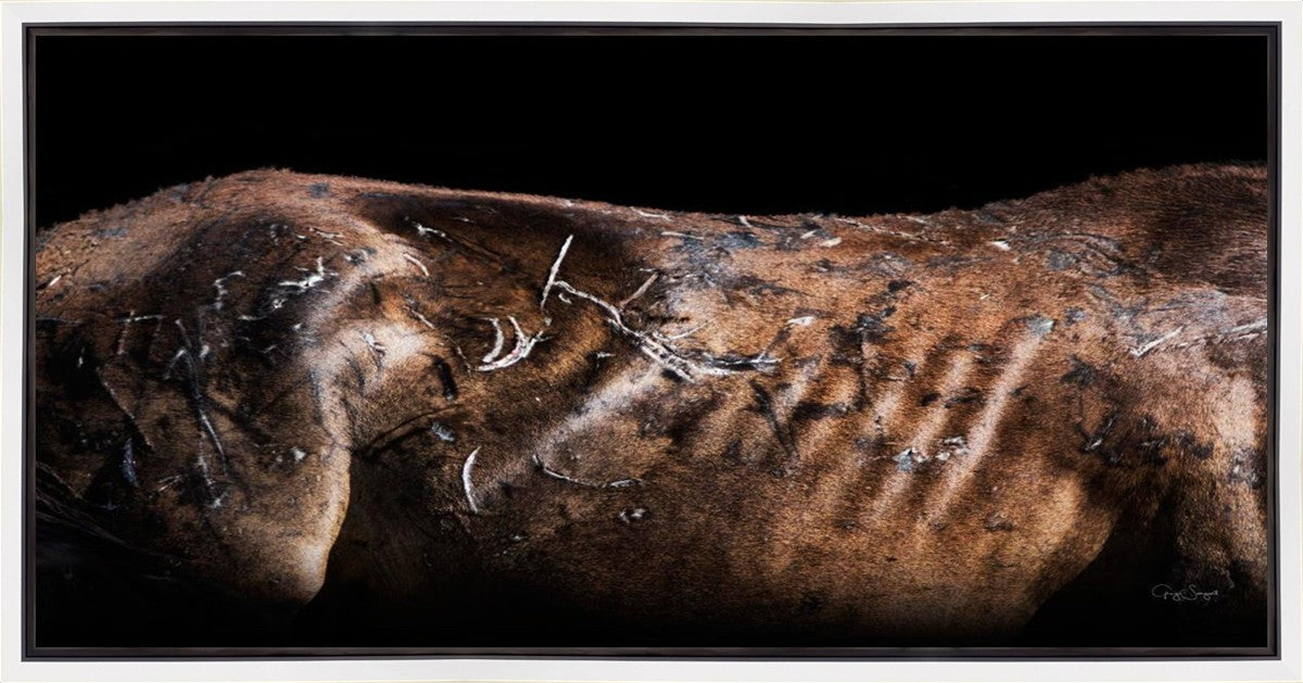 Battle Wounds Gallery Wrap
