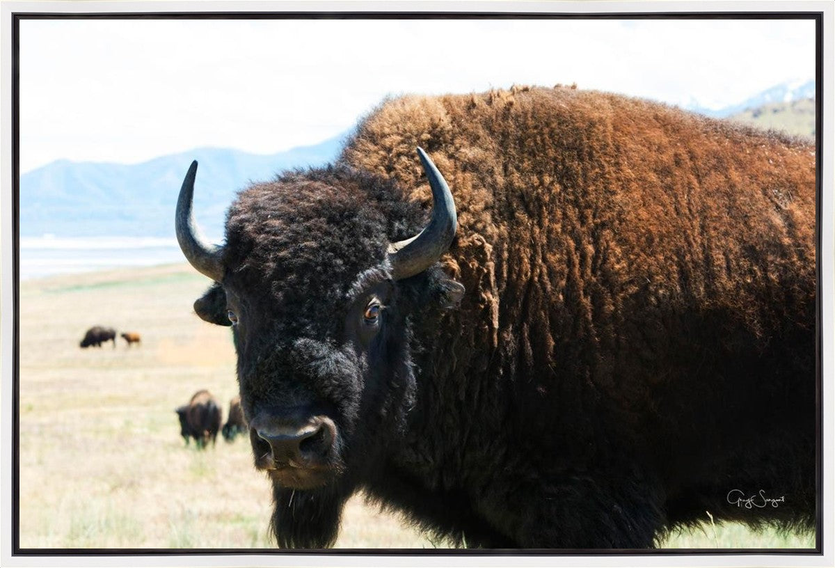 What Are You Looking At