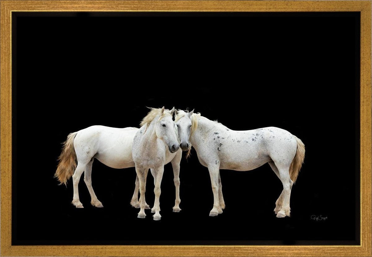 Three White Horses Gallery Wrap