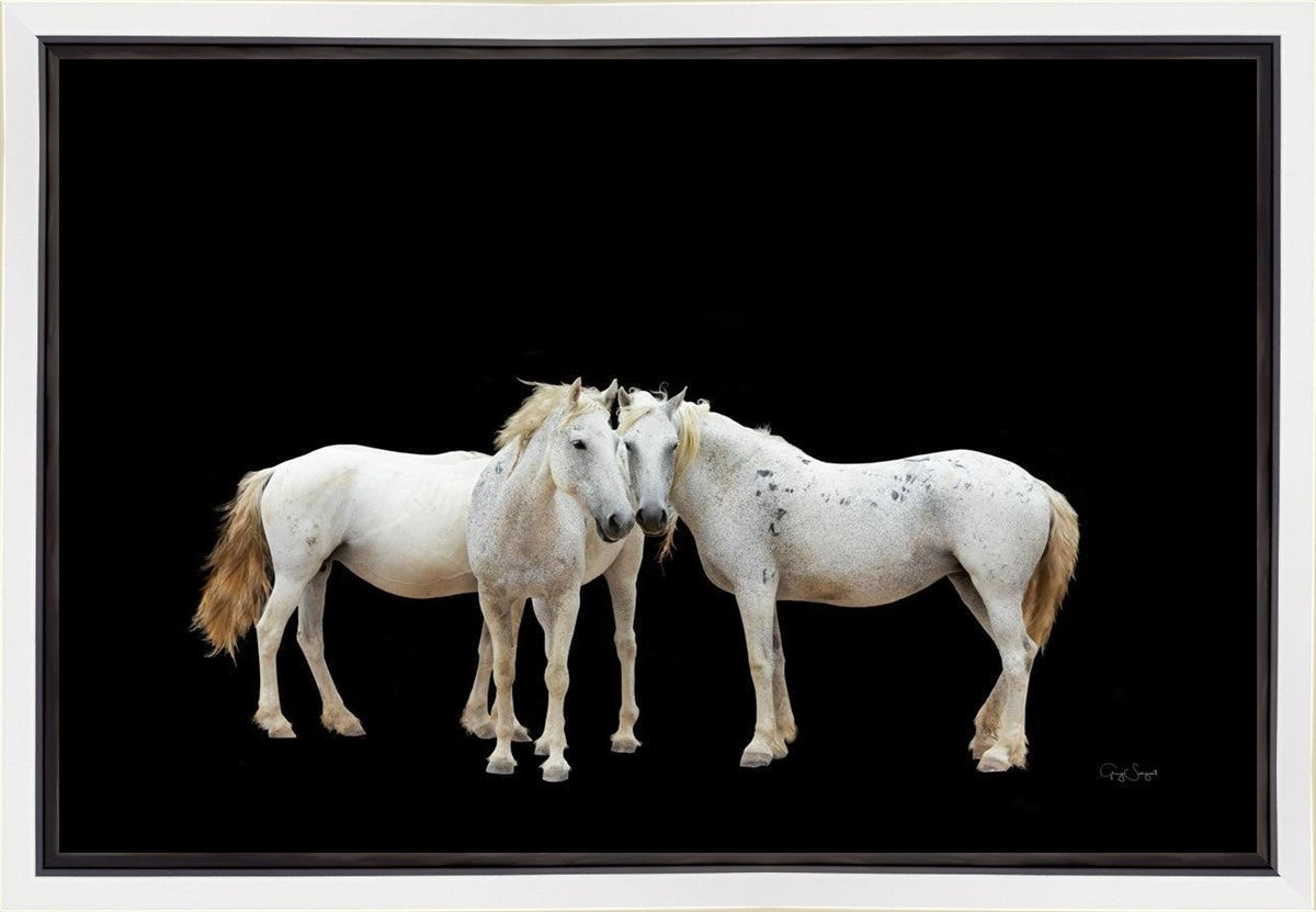 Three White Horses Gallery Wrap