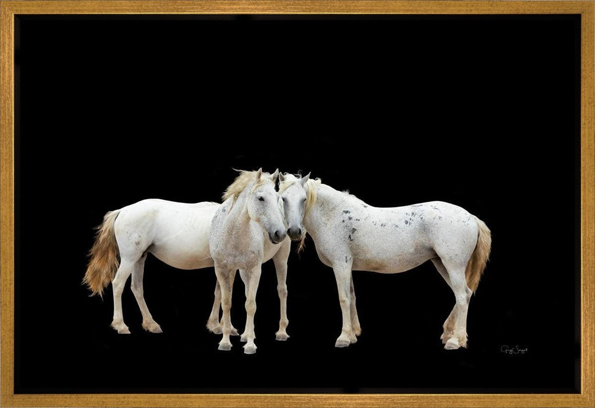 Three White Horses Gallery Wrap