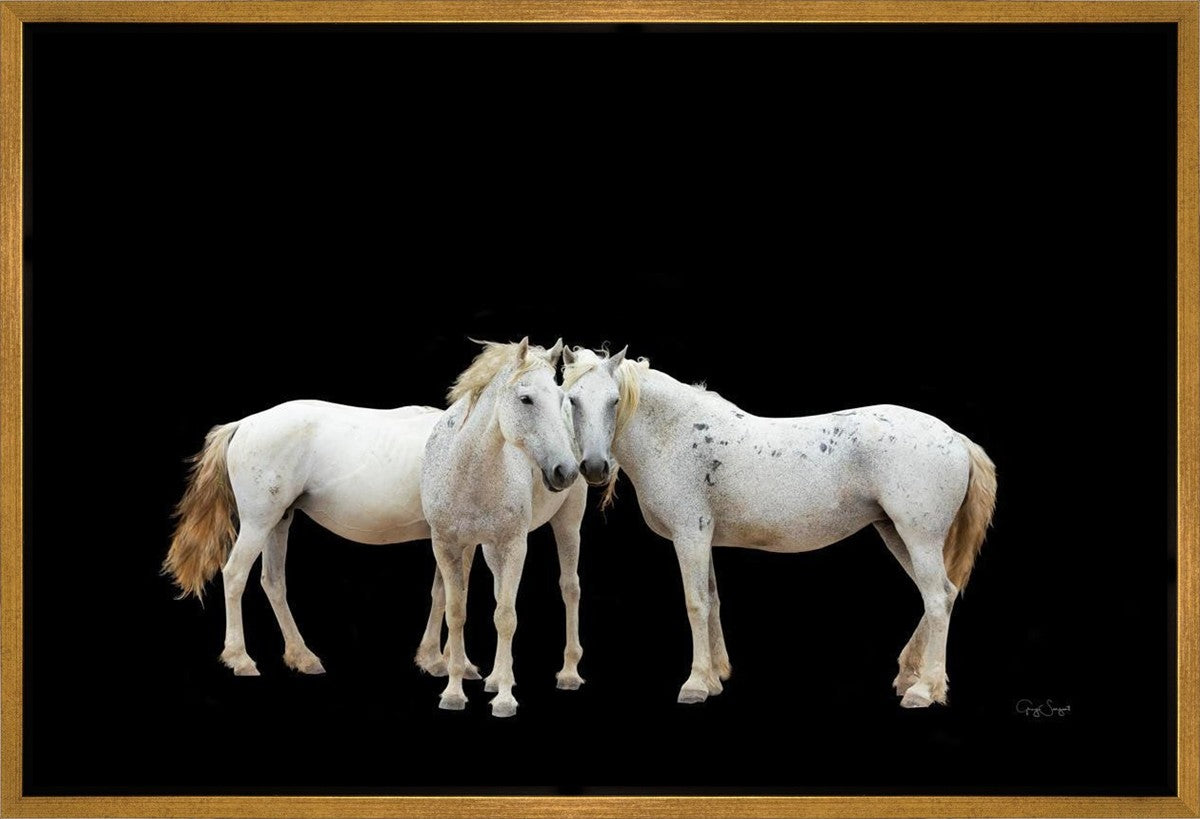 Three White Horses Gallery Wrap