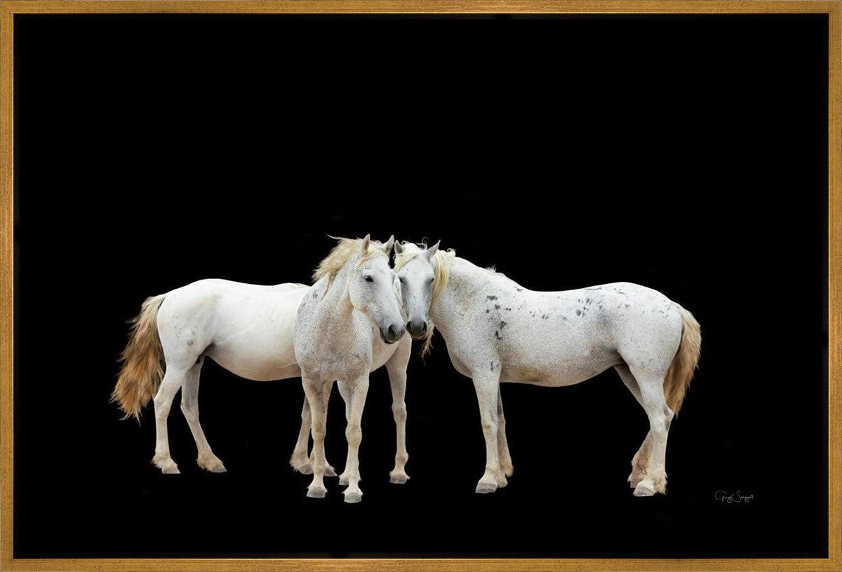 Three White Horses Gallery Wrap
