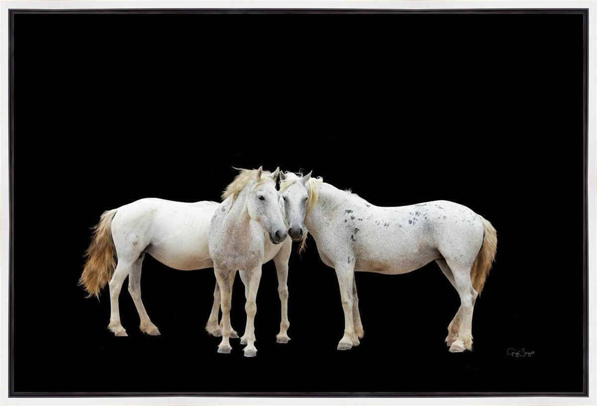 Three White Horses Gallery Wrap