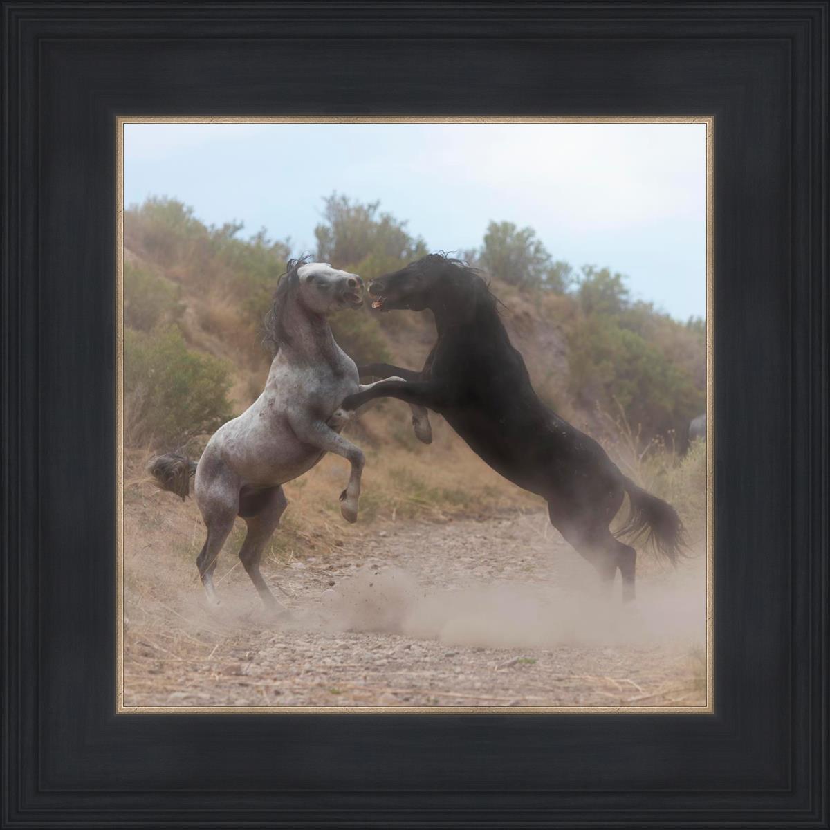 Fight In The Wash