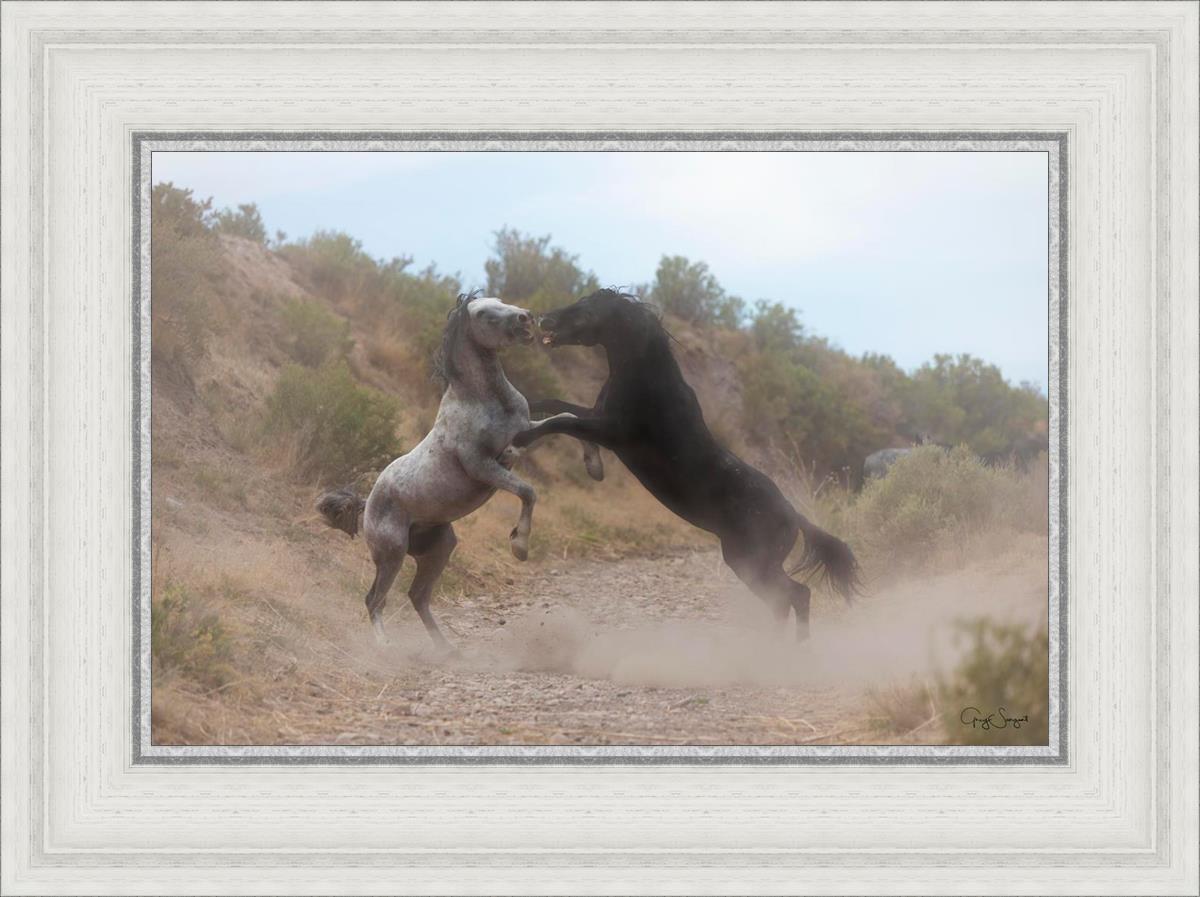 Fight In The Wash