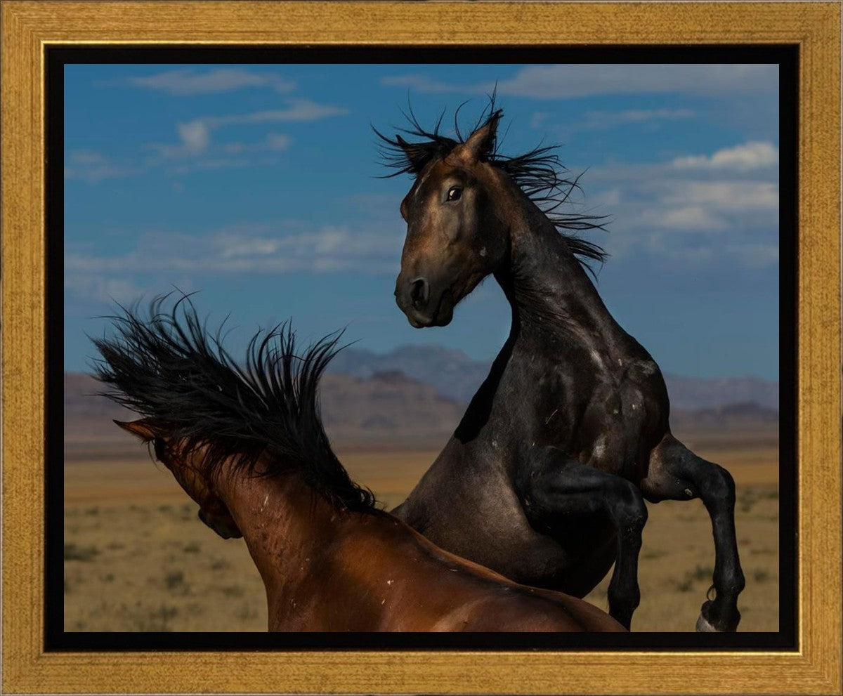 Winner Takes All Gallery Wrap