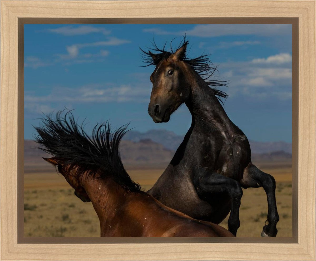 Winner Takes All Gallery Wrap