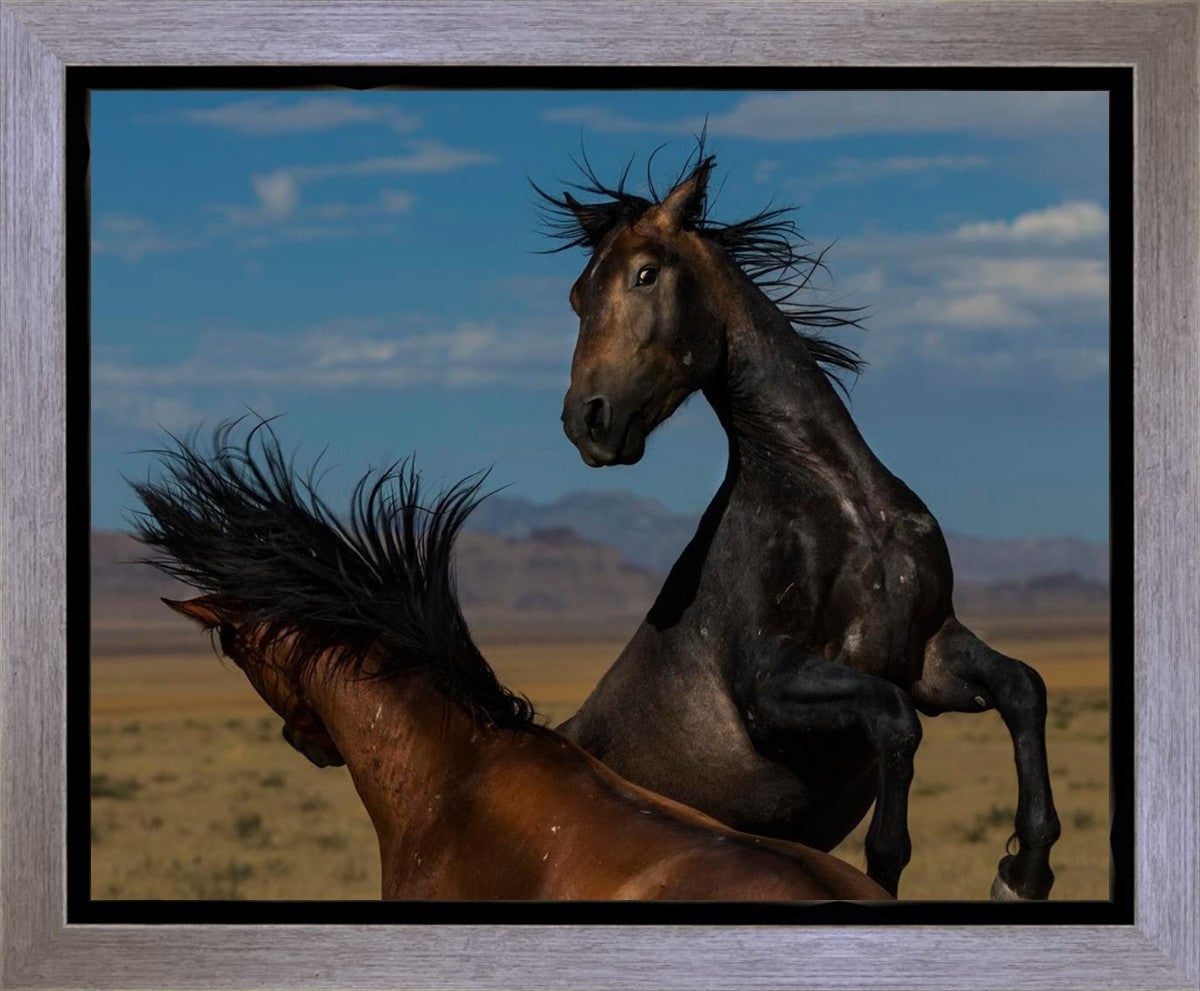 Winner Takes All Gallery Wrap