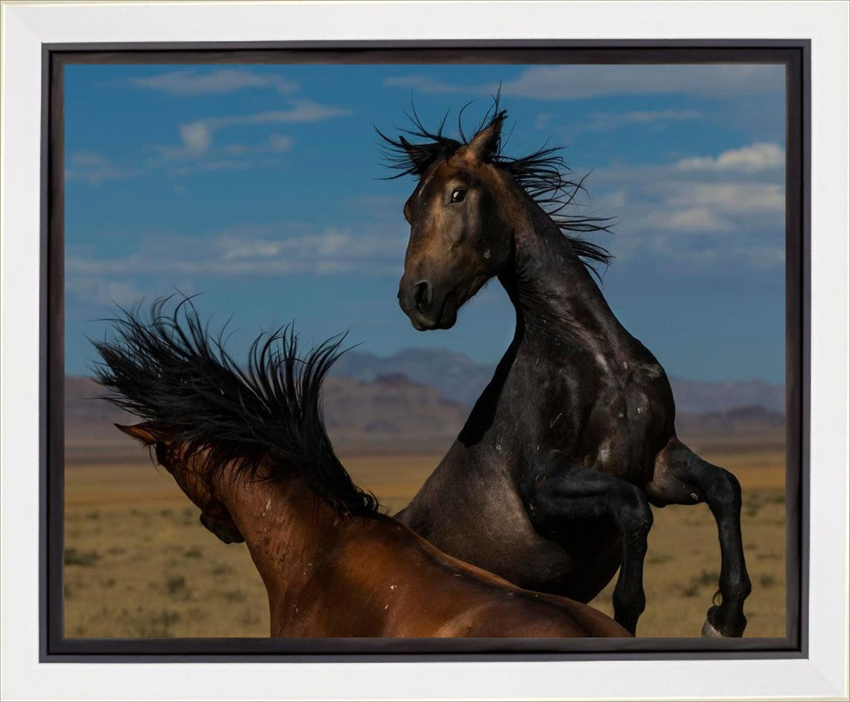 Winner Takes All Gallery Wrap