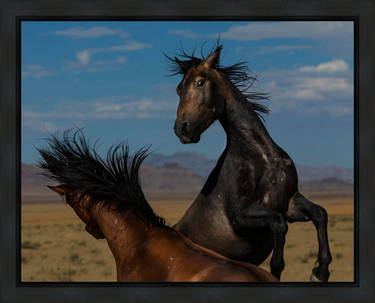 Winner Takes All Gallery Wrap