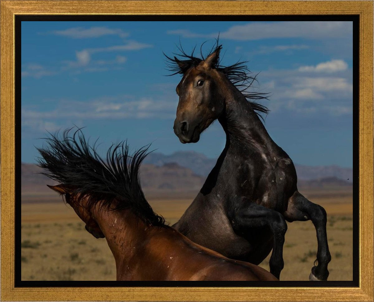 Winner Takes All Gallery Wrap