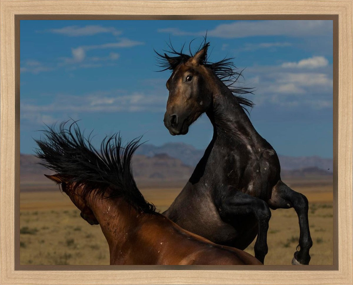 Winner Takes All Gallery Wrap
