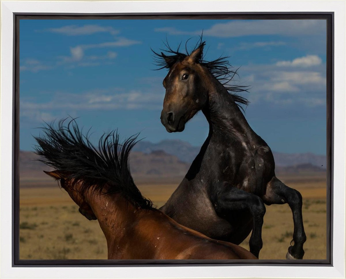 Winner Takes All Gallery Wrap