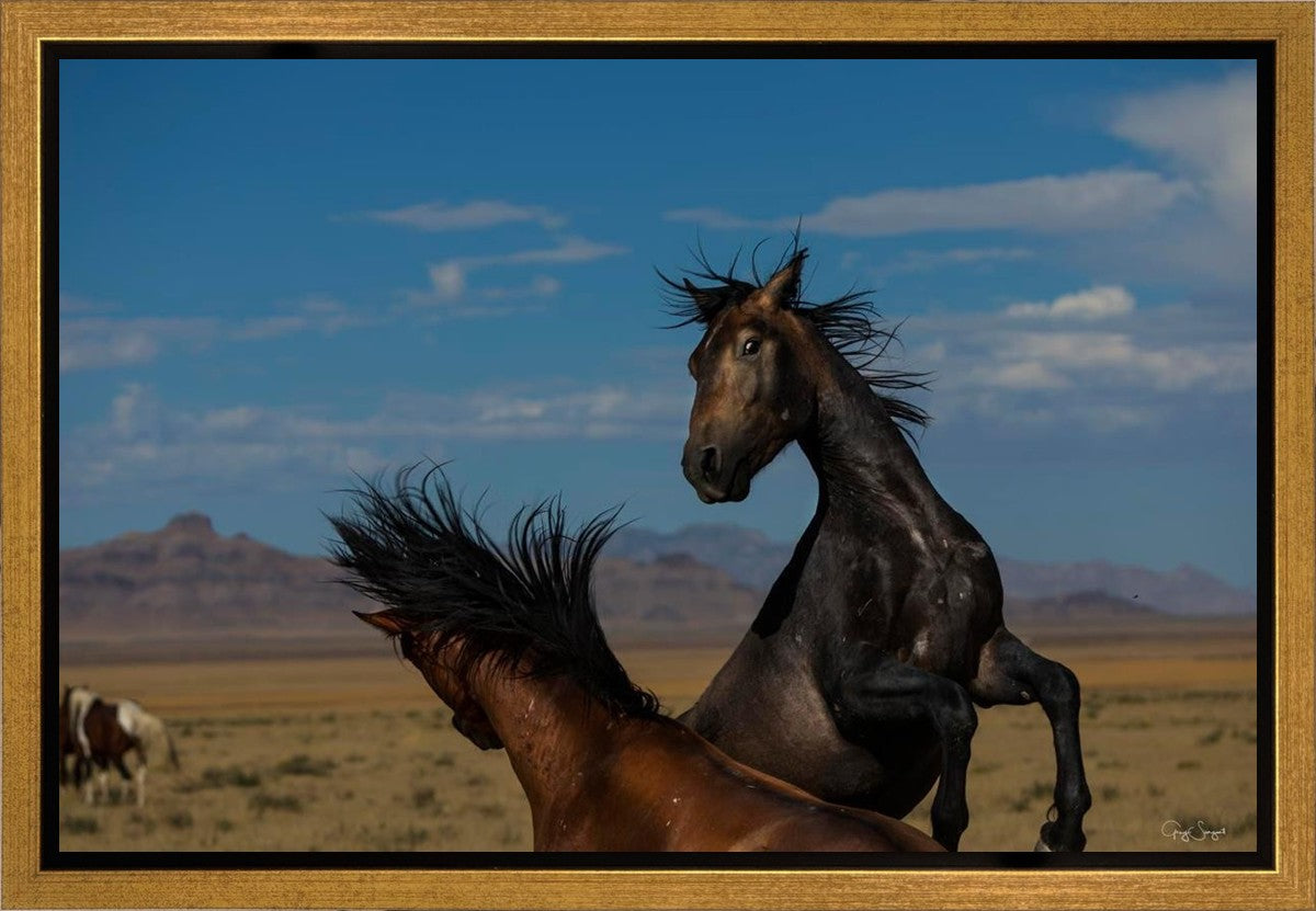 Winner Takes All Gallery Wrap