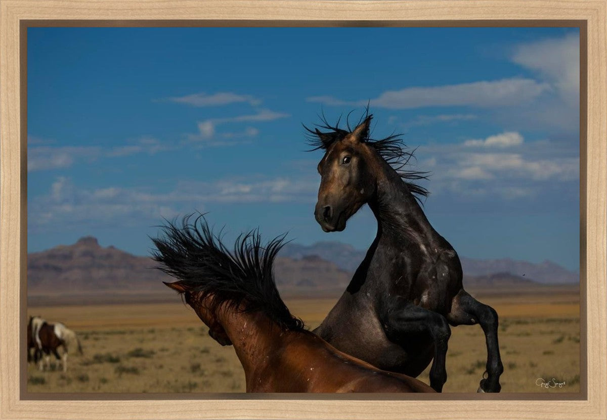 Winner Takes All Gallery Wrap