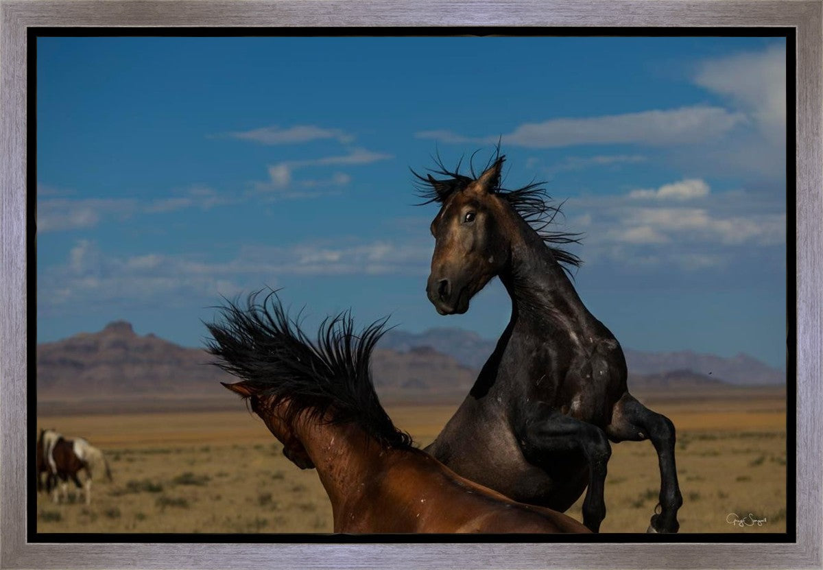 Winner Takes All Gallery Wrap