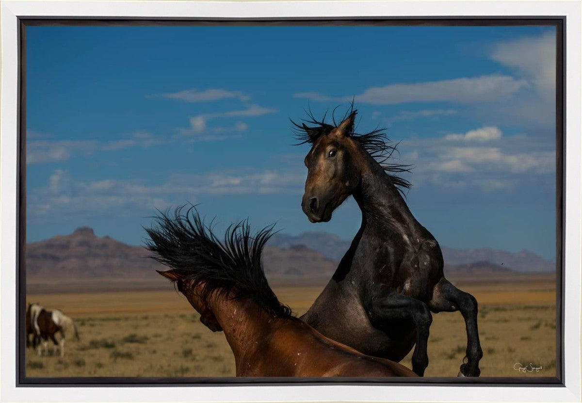 Winner Takes All Gallery Wrap