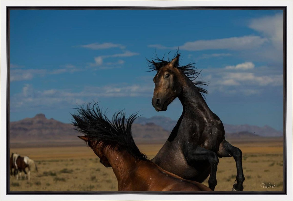 Winner Takes All Gallery Wrap