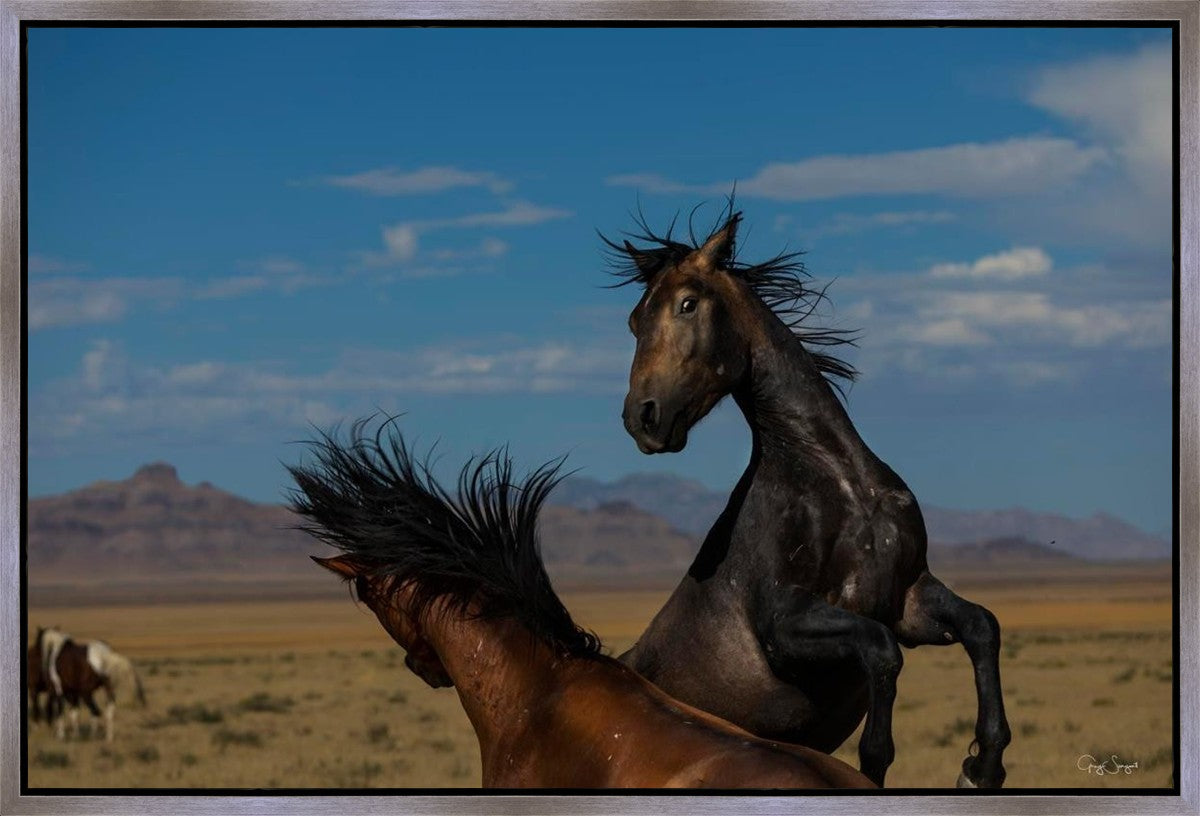 Winner Takes All Gallery Wrap