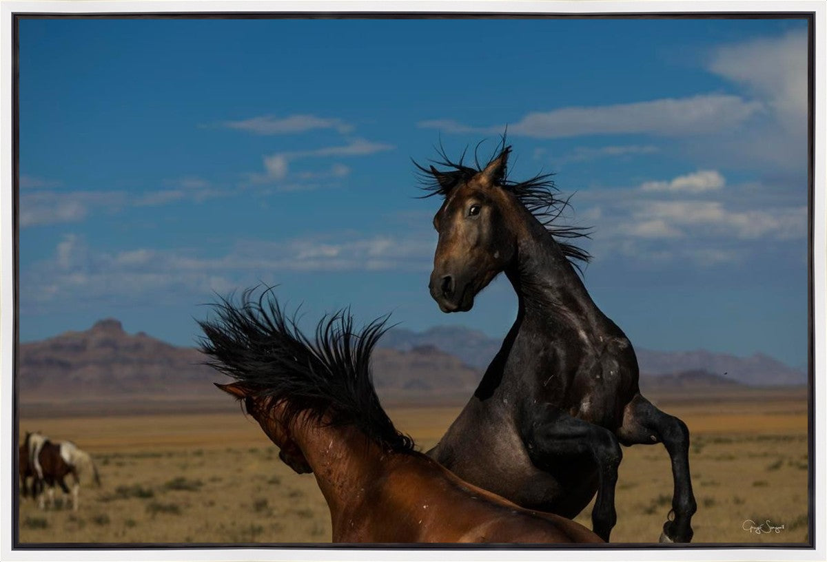 Winner Takes All Gallery Wrap
