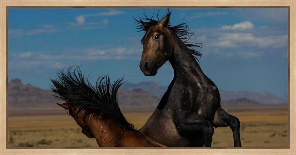 Winner Takes All Gallery Wrap