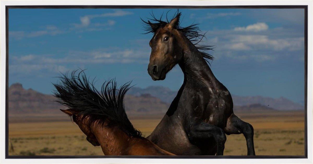 Winner Takes All Gallery Wrap
