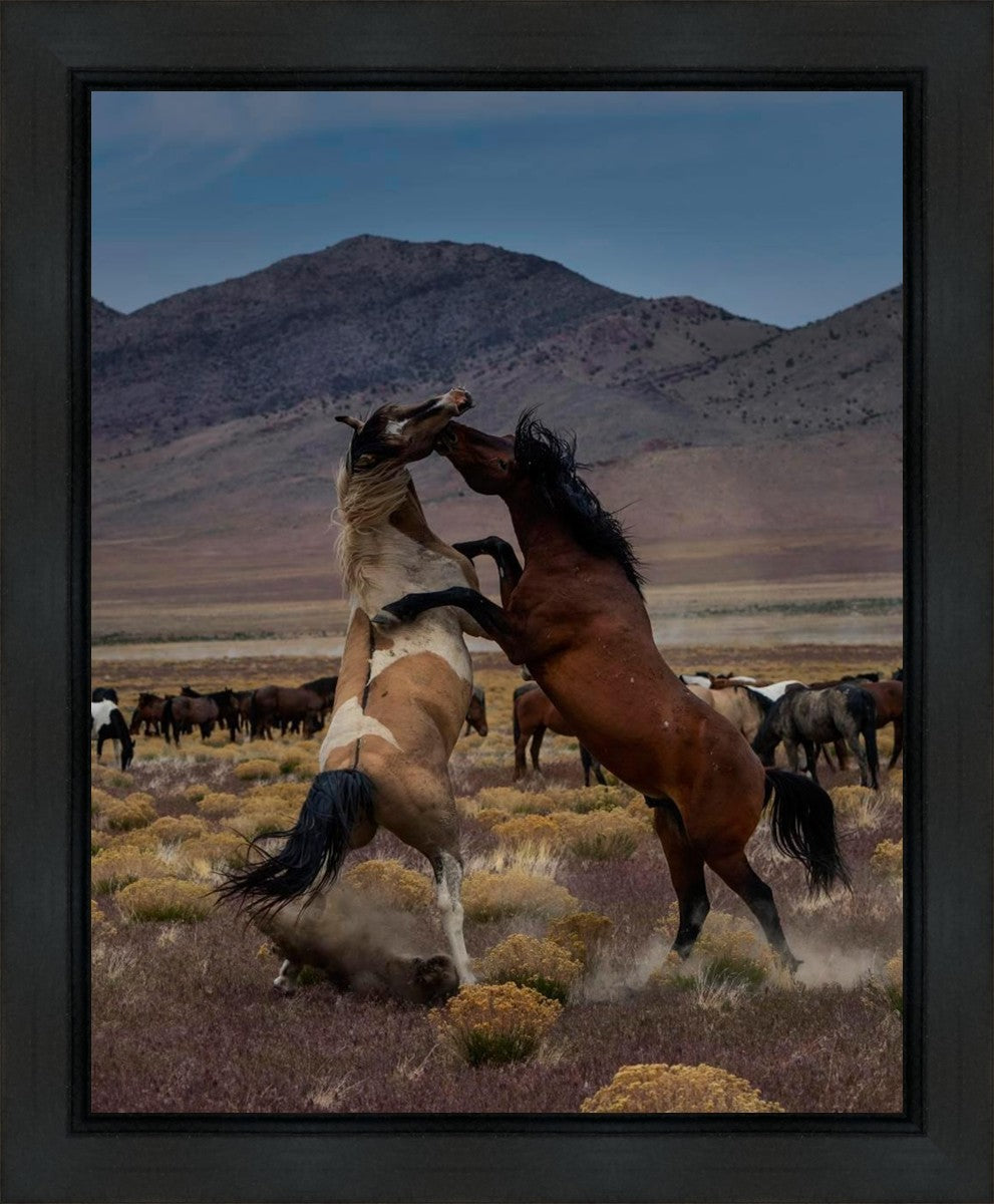 Desert Duel 1 Gallery Wrap