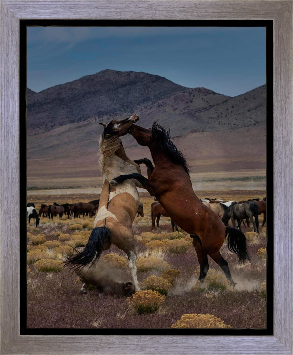 Desert Duel 1 Gallery Wrap