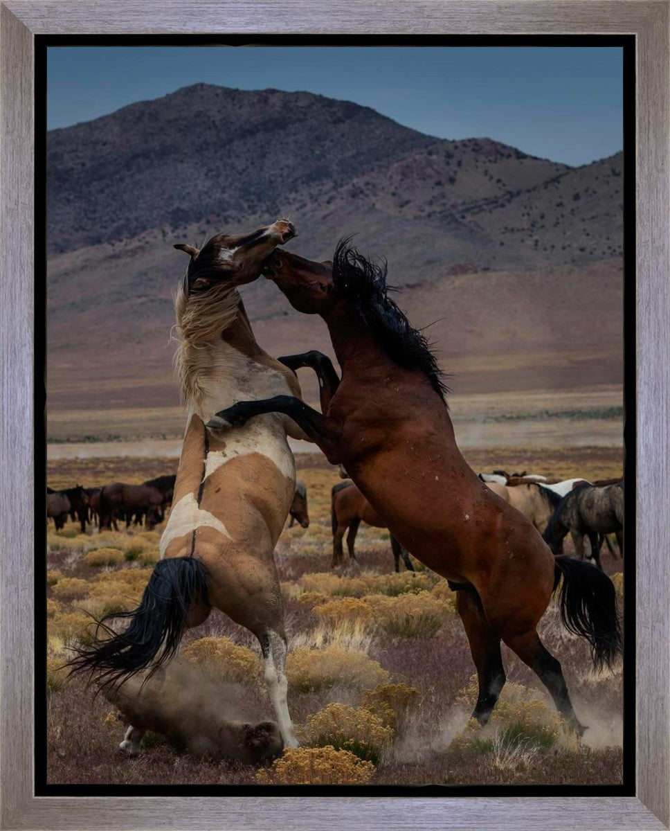 Desert Duel 1 Gallery Wrap