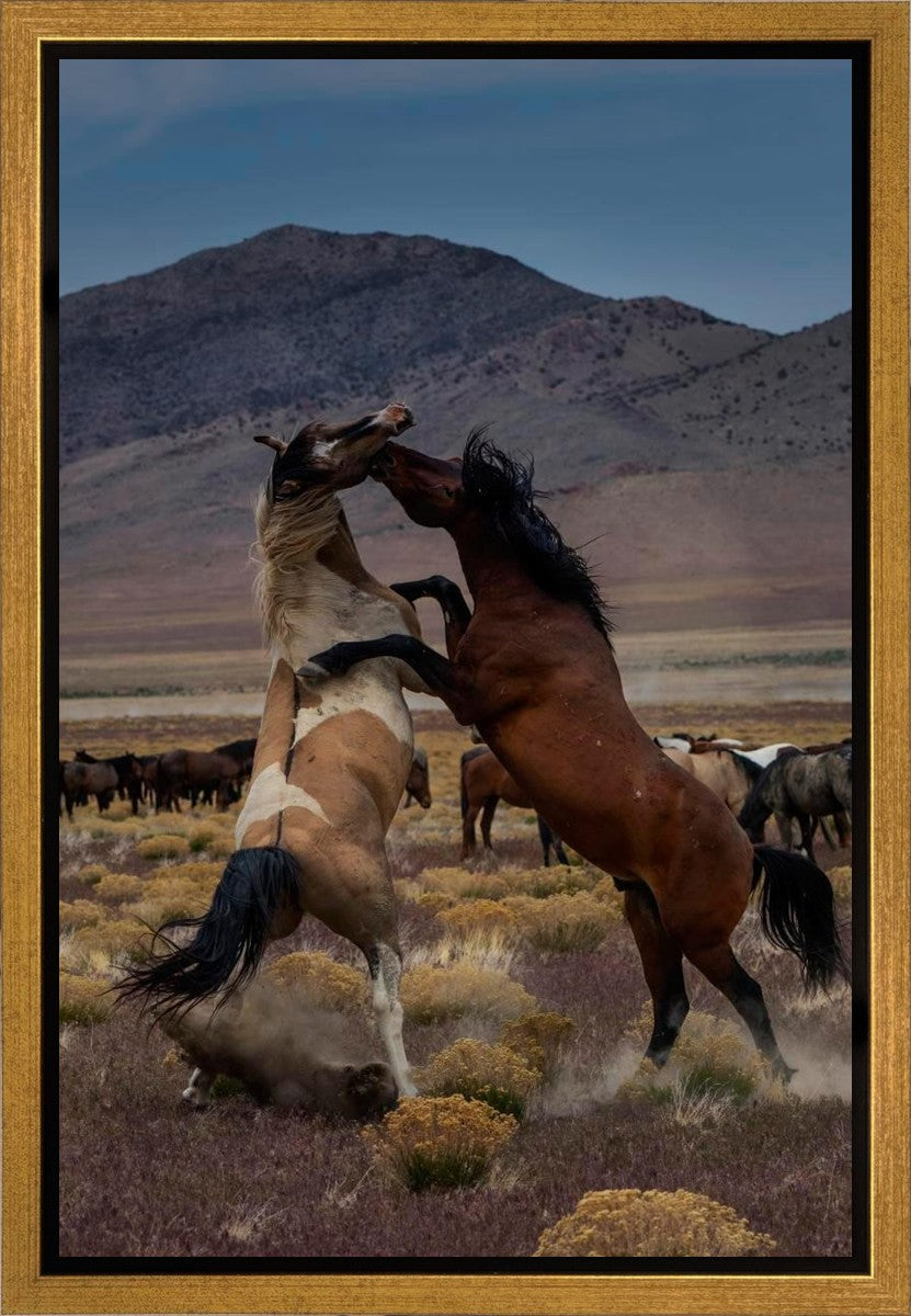 Desert Duel 1 Gallery Wrap