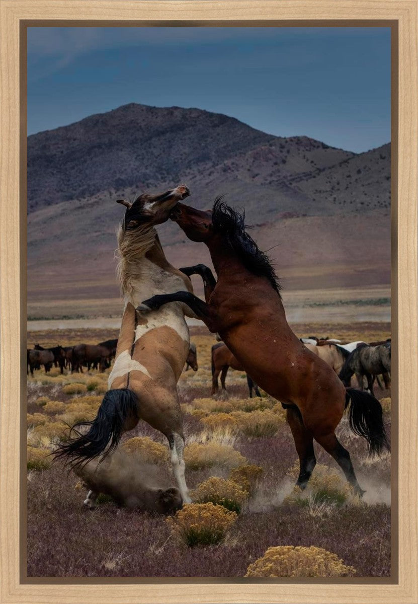 Desert Duel 1 Gallery Wrap