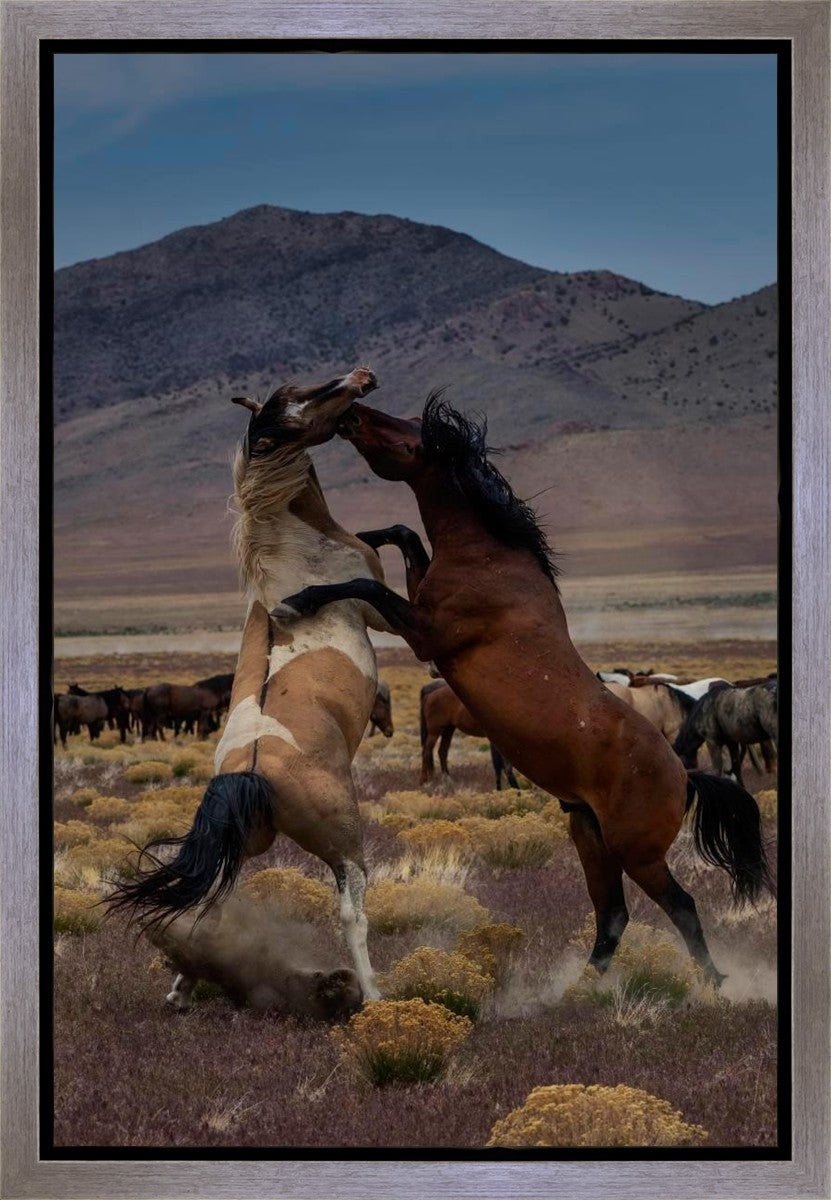 Desert Duel 1 Gallery Wrap