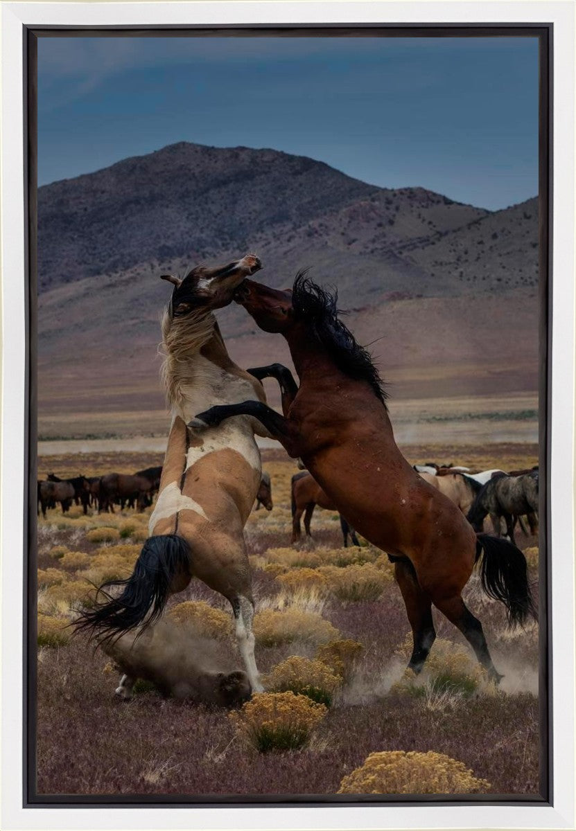 Desert Duel 1 Gallery Wrap