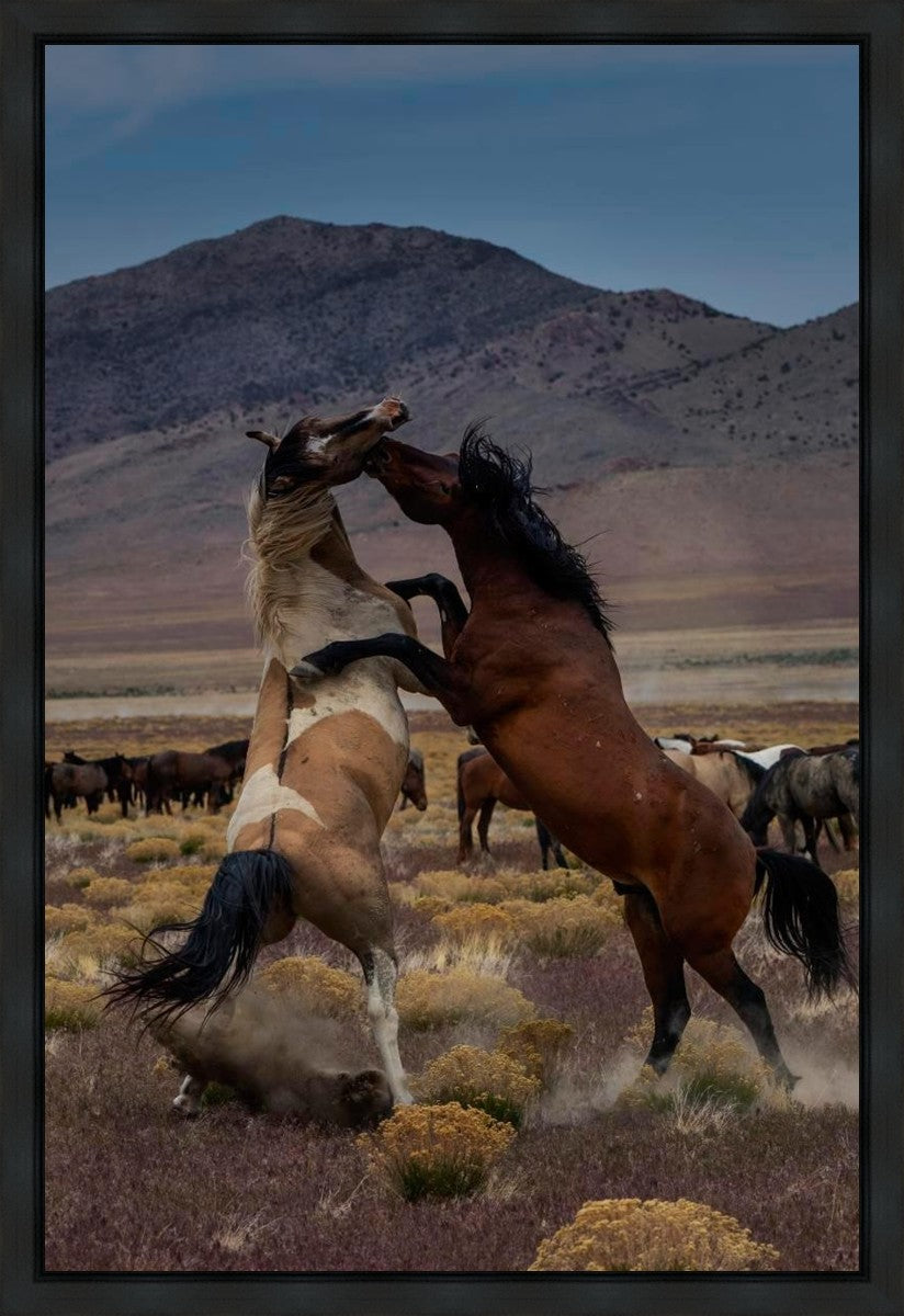 Desert Duel 1 Gallery Wrap
