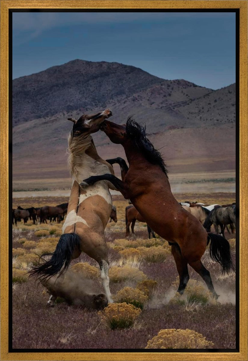 Desert Duel 1 Gallery Wrap
