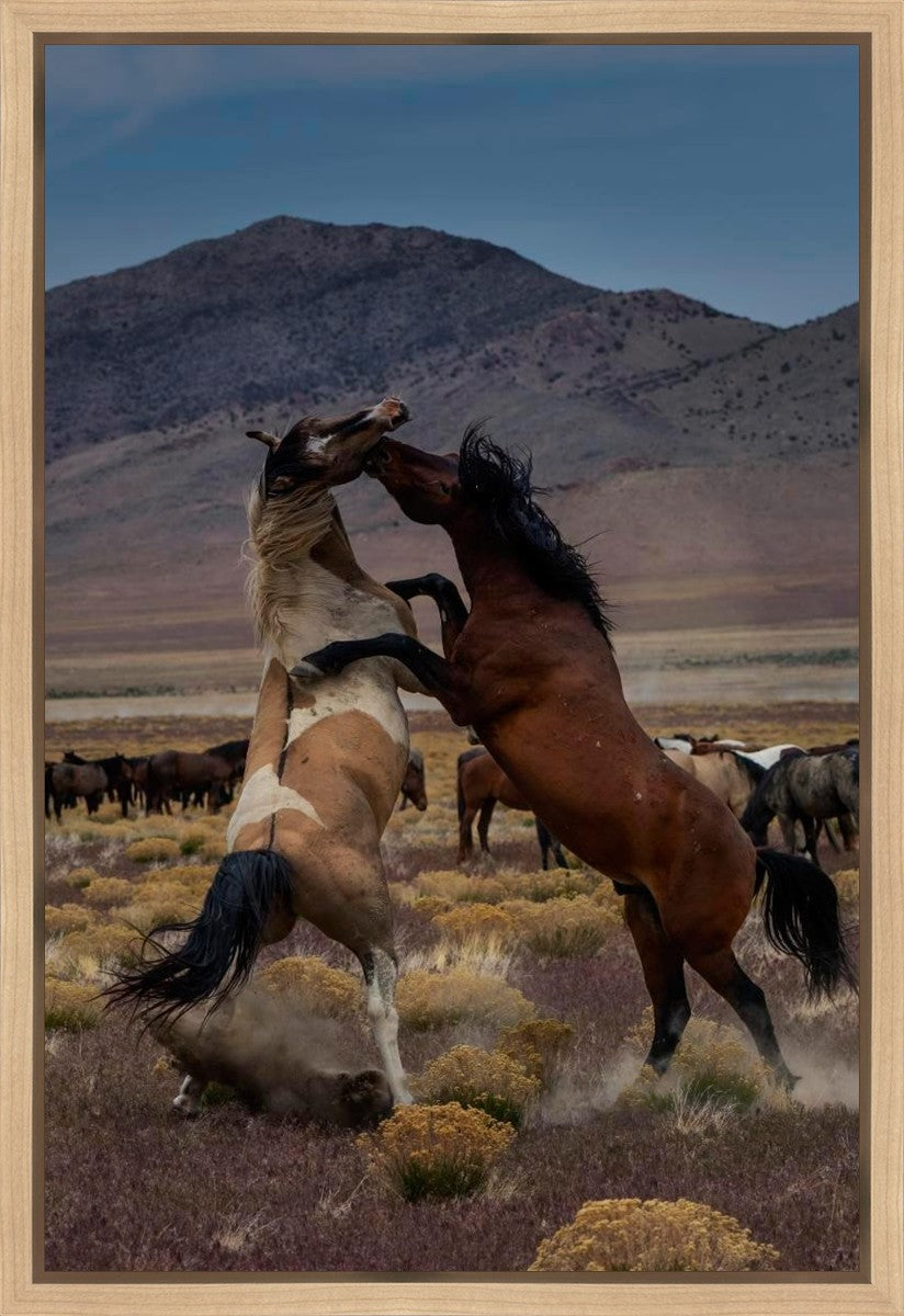 Desert Duel 1 Gallery Wrap
