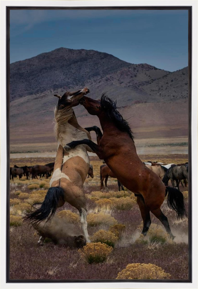Desert Duel 1 Gallery Wrap