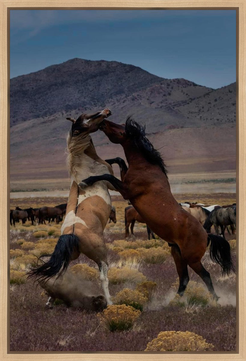 Desert Duel 1 Gallery Wrap