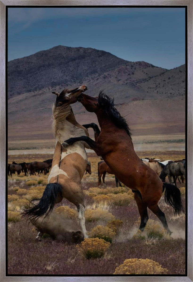 Desert Duel 1 Gallery Wrap
