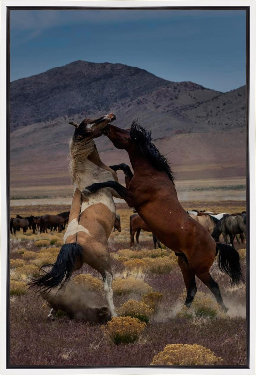 Desert Duel 1 Gallery Wrap