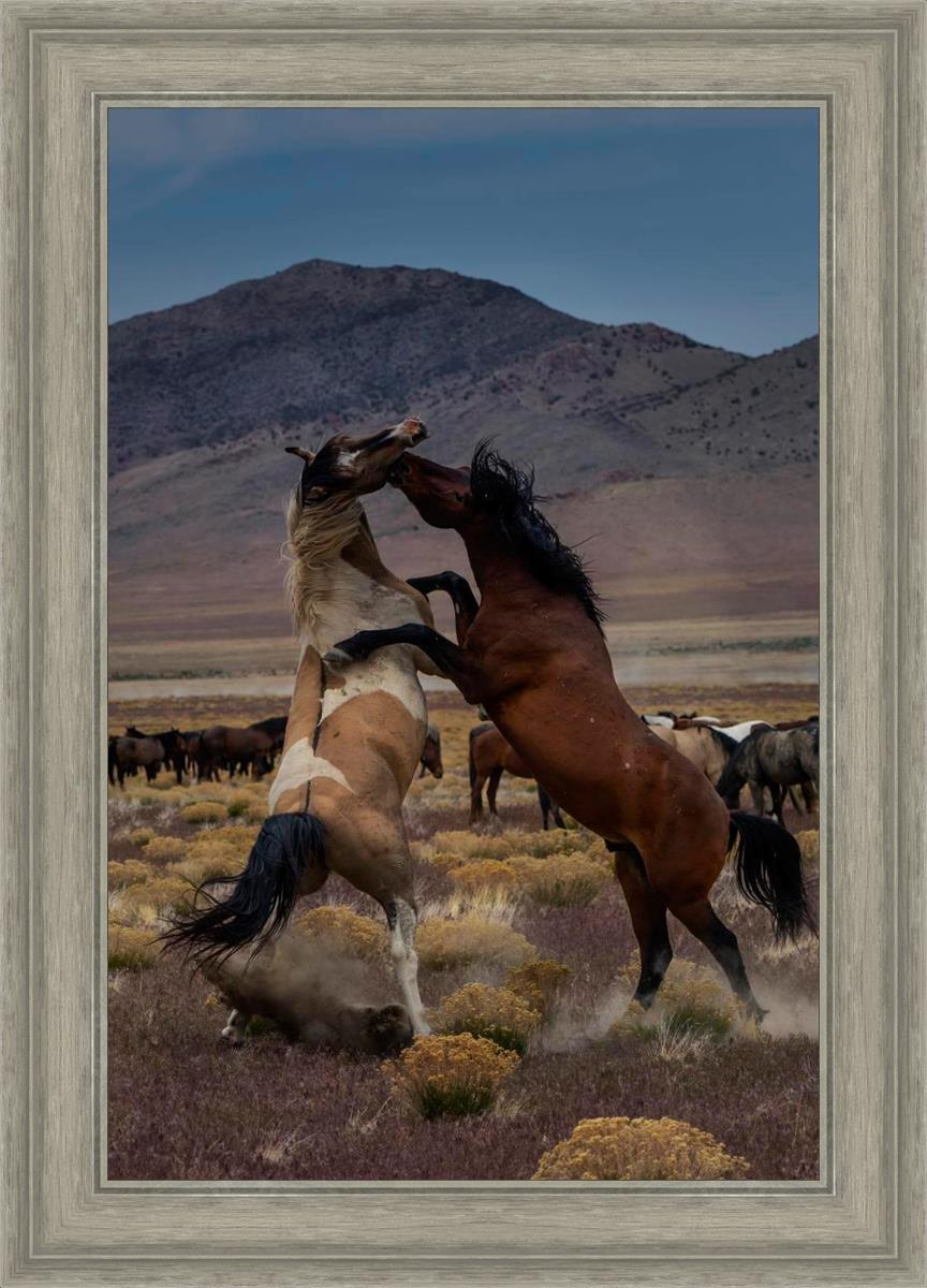 Desert Duel 1
