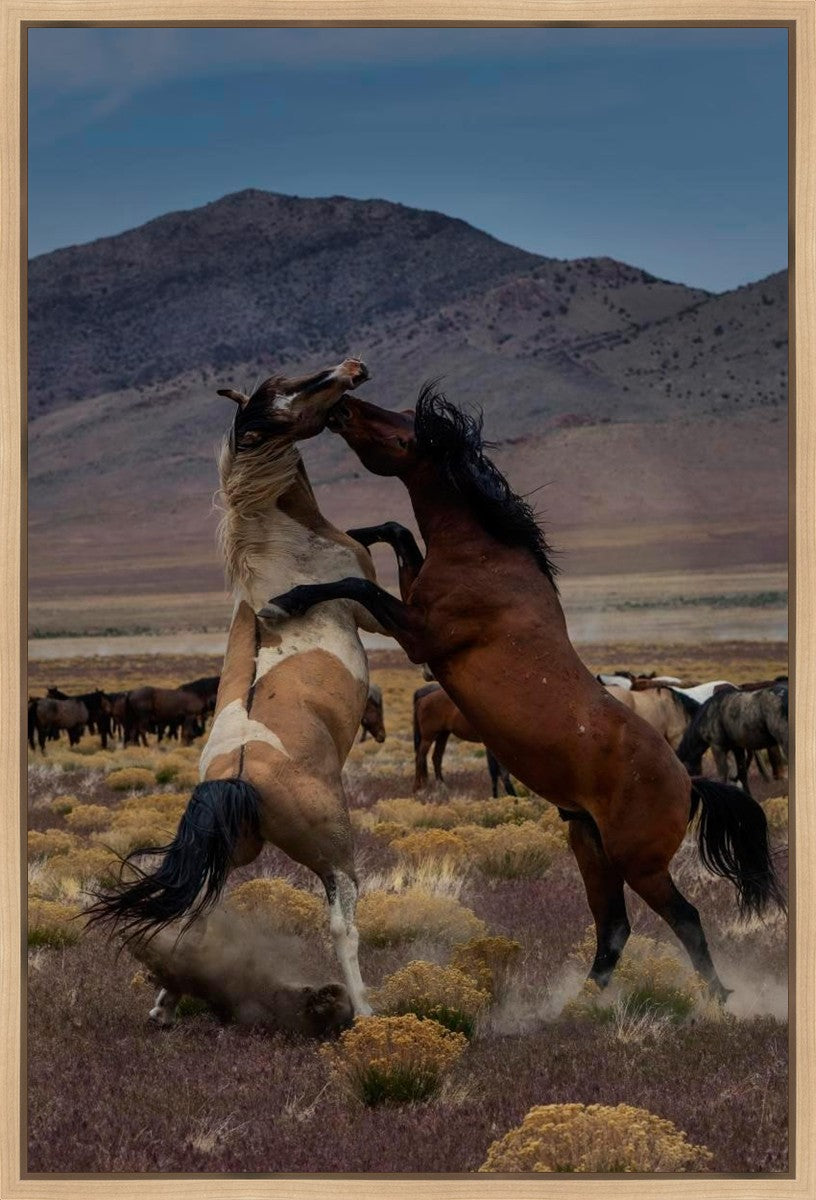 Desert Duel 1 Gallery Wrap