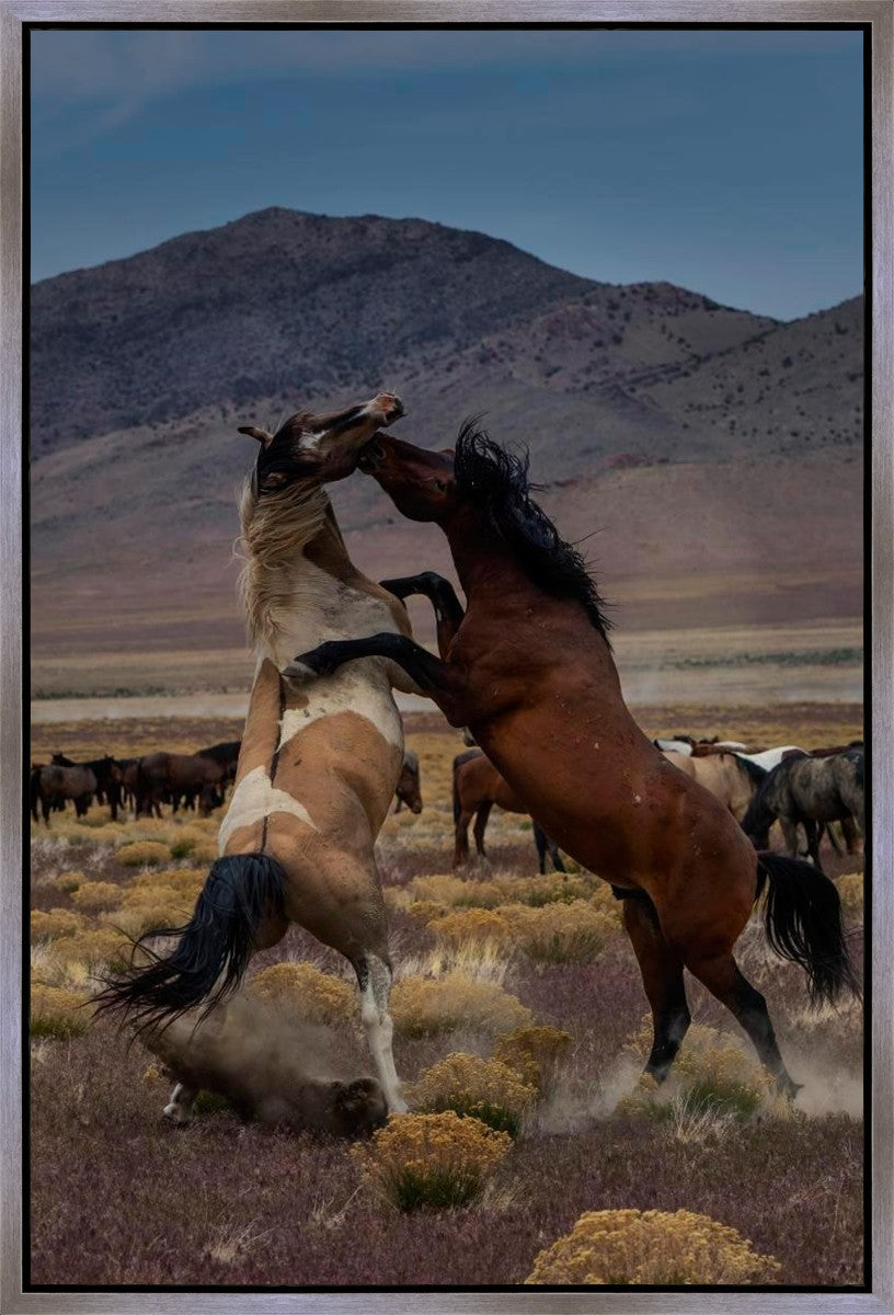 Desert Duel 1 Gallery Wrap