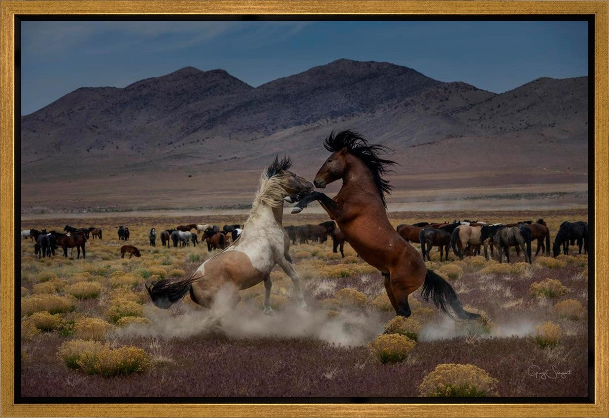 Desert Duel 5 Gallery Wrap