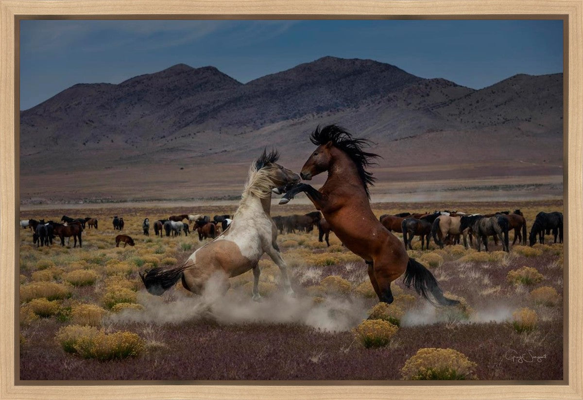 Desert Duel 5 Gallery Wrap