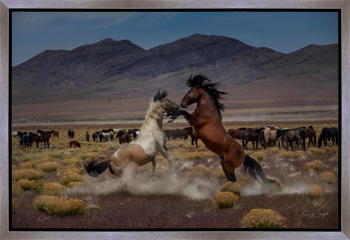 Desert Duel 5 Gallery Wrap