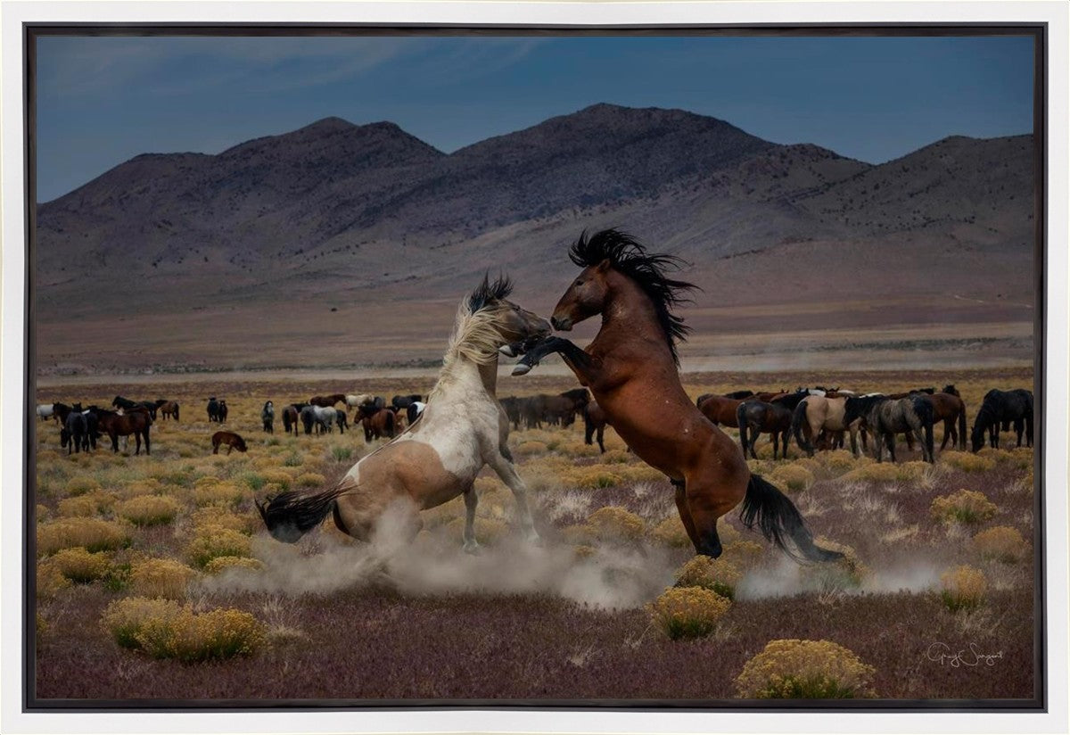 Desert Duel 5 Gallery Wrap